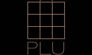 P.L.U 高端生活方式联盟正式成立