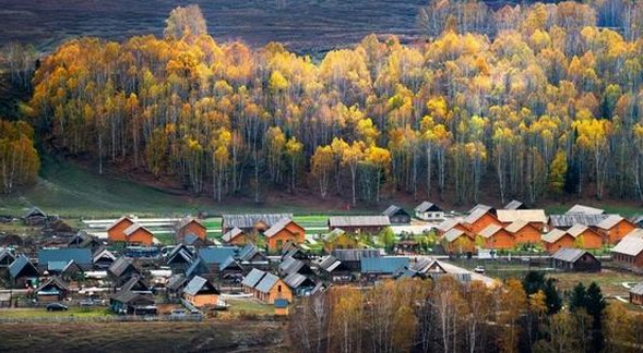 一到秋天，新疆就美哭了世界！ 