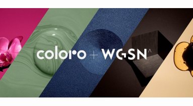 COLORO联合WGSN发布2022/23秋冬的关键五大色系