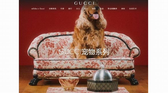 宠物奢侈品成潮流，Gucci、LV、爱马仕等大牌抢滩“它经济”，一张宠物床卖7万