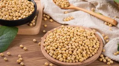 大豆蛋白是智商税吗？动物蛋白和植物蛋白哪个更好？