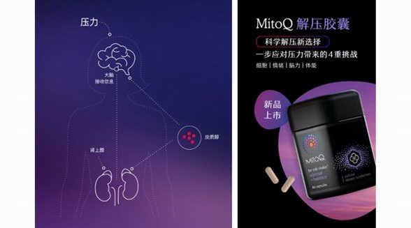 新西兰MitoQ推出解压胶囊,实现科学解压新选择