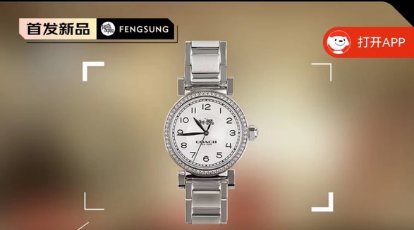 COACH蔻驰女士新款时尚链条手表，彰显高端时尚生活