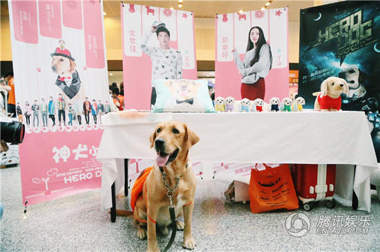 《神犬小七》亮相亚洲宠物展 成份量级大咖【娱乐往事】风气中国网