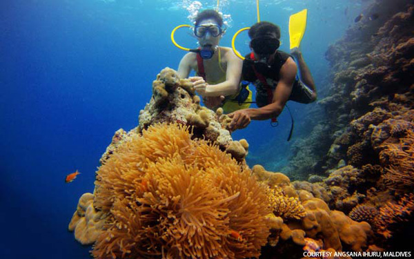 马尔代夫伊瑚鲁悦椿度假村落呈献24小时潜水行动