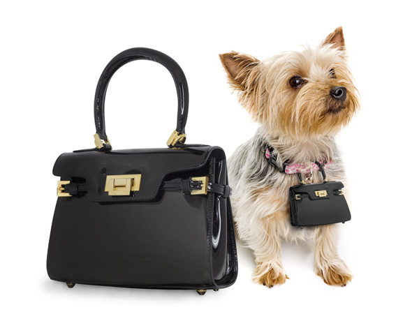 全球抢先发售 购入您和爱犬同款时尚包袋