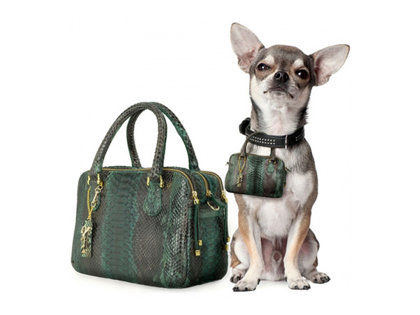 全球抢先发售 购入您和爱犬同款时尚包袋