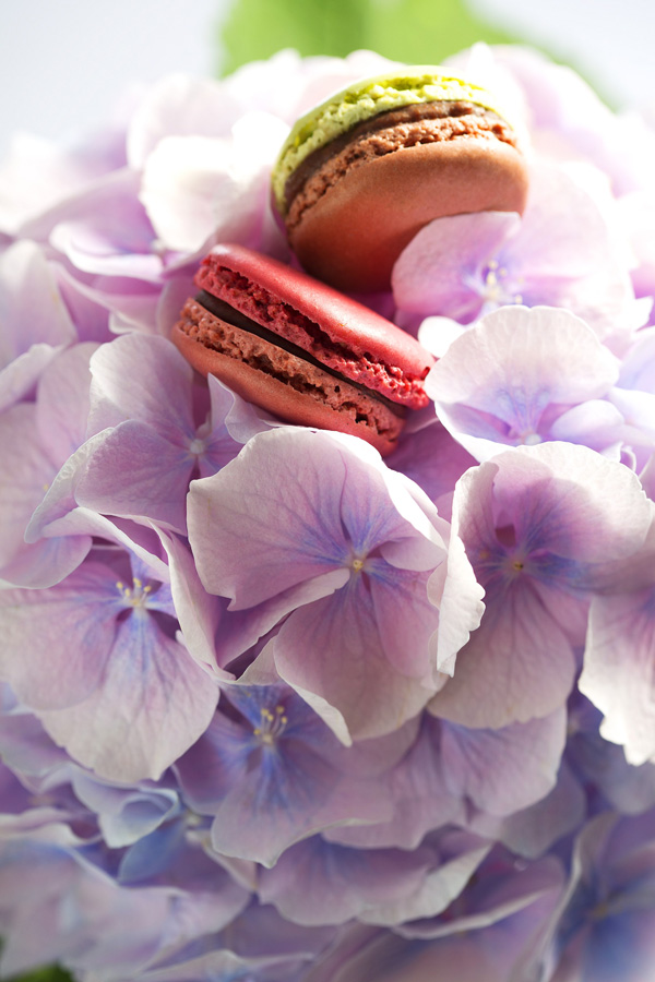 法国极品巧克力大师呈献「恋爱季节」婚嫁系列
