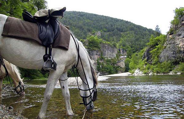 策马奔腾——法国南部11日马术骑行之旅