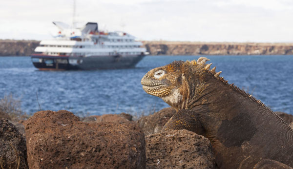 银海邮轮加拉帕戈斯群岛10天9晚探索之旅