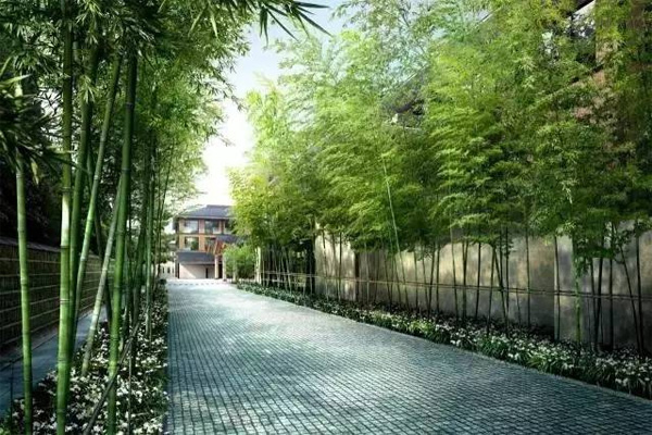 京都四季酒店，12世纪池庭内的现代绿洲