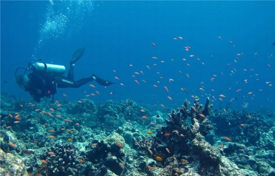 到安达曼群岛的深蓝色大海中潜水