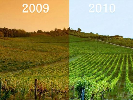 不同年份的不同气候造成了葡萄酒的年份差异