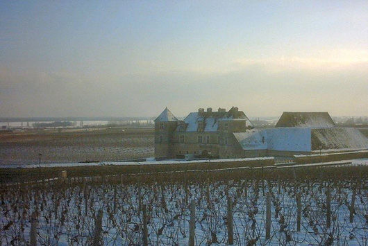勃艮第伏旧园(Clos Vougeot)的冬日景象