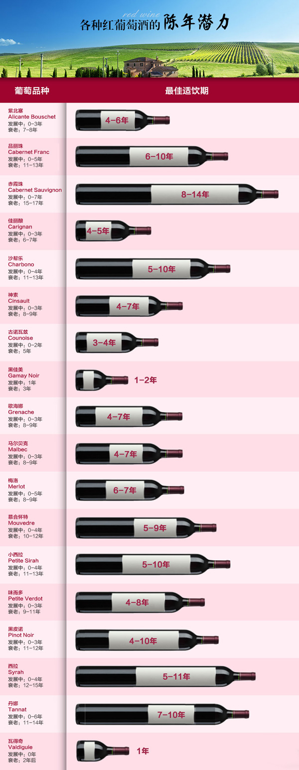 18种常见红葡萄酒的陈年潜力