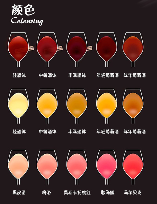 读懂这9张图，从葡萄酒“砖家”变“专家” 