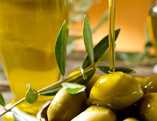 千年传承的地中海甘露 —— 橄榄油