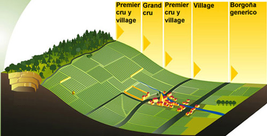 最好的勃艮第葡萄园通常位于山腰部位，山顶和山底的田地次之