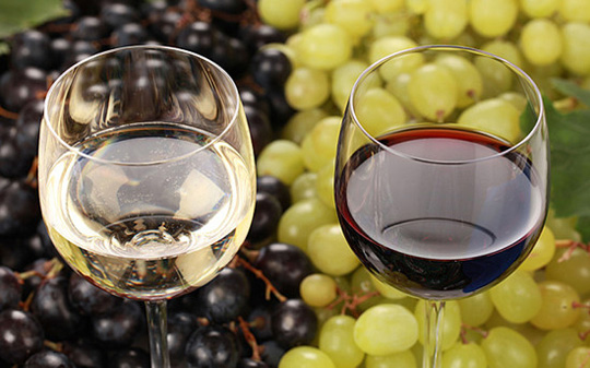  为什么波尔多白葡萄酒值得你关注？ 