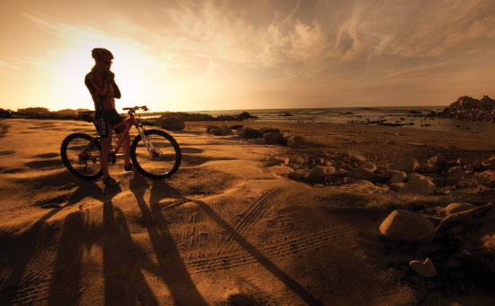 找一辆自行车骑着上路，用怀旧的出行方式发现崭新的世界。