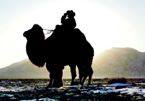 一位蒙古牧民正目不转晴勘视着前方。