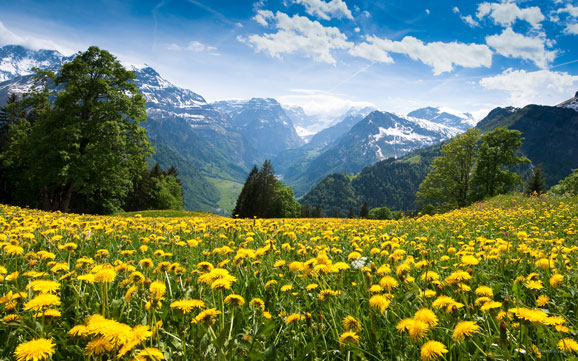 1、想一次饱览瑞士绝美风光，可以搭乘黄金列车从琉森湖、茵特拉根、蒙投、魏兹西蒙，一直延伸至有“瑞士蔚蓝海岸”之称的日内瓦湖畔，一路饱览瑞士的湖光山色。