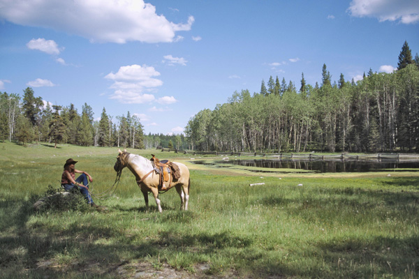 马背上的春天 去加拿大体验荒野的精神