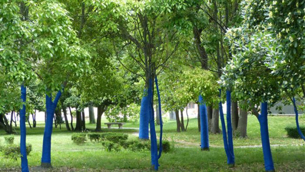GP芝柏表「Blue Forest」环保的艺术