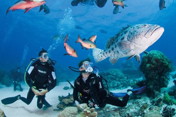 澳大利亚大堡礁最佳潜点 探寻绚烂水下世界