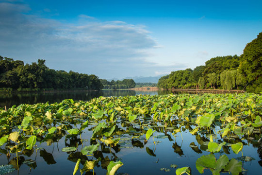 杭州西湖入选世界12大落日美景