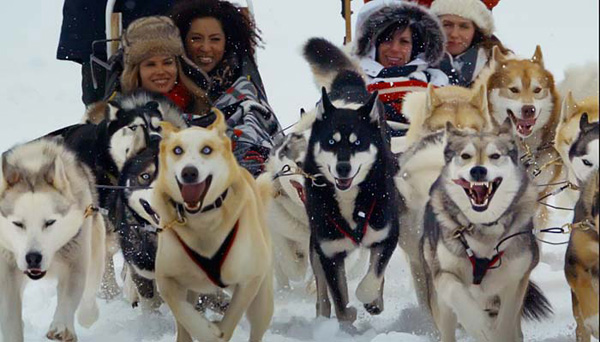 加拿大艾伯塔省旅游局推介精彩冬季旅程