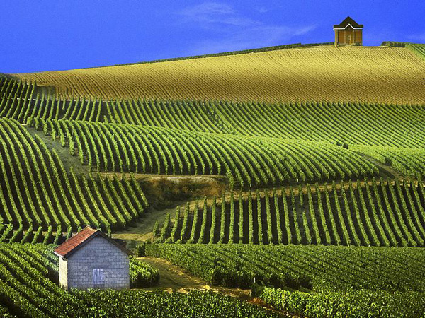  2013年法国葡萄酒产区年份报告 