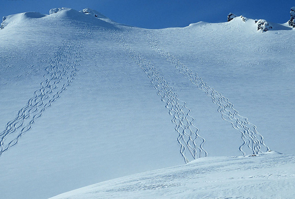 庞巴迪Ski-doo：奔放冬日的雪地激情