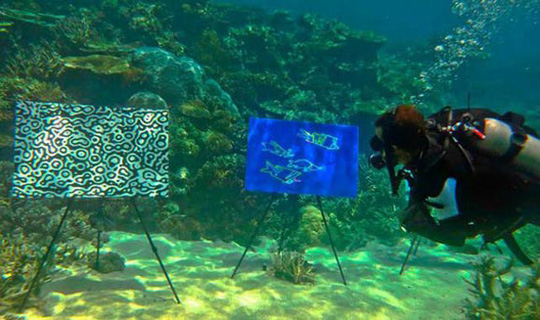 澳大利亚大堡礁举办世界首个水下画廊