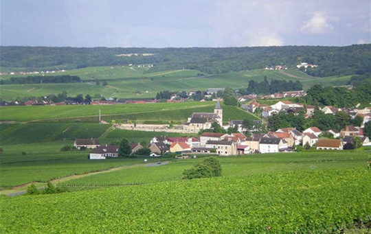 香槟产区设定2014年葡萄产量限额