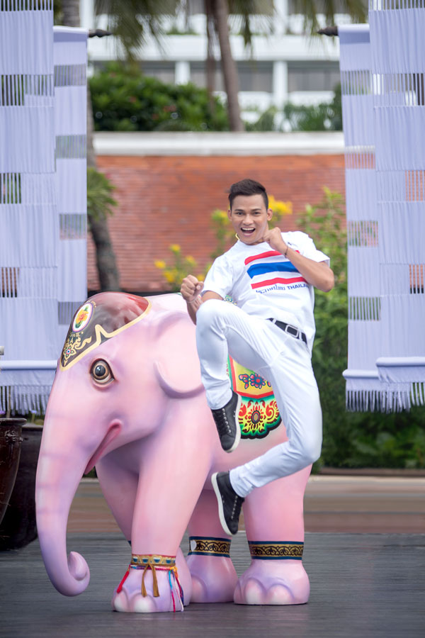 “2015安纳塔拉曼谷大象巡游”吹响集结号