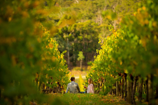 N+1法：南澳葡萄酒的正确打开方式