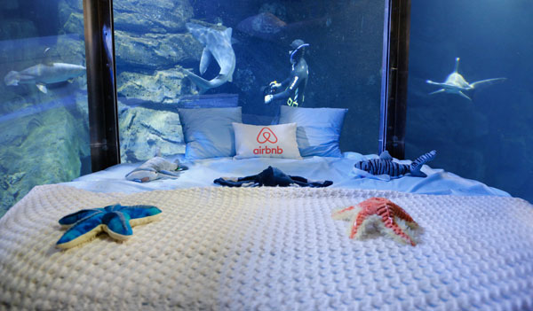 中国情侣入住Airbnb巴黎水族馆，和鲨鱼“共眠”