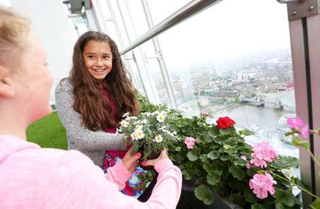 摘星塔观景层今夏呈现“伦敦最高夏日花园”