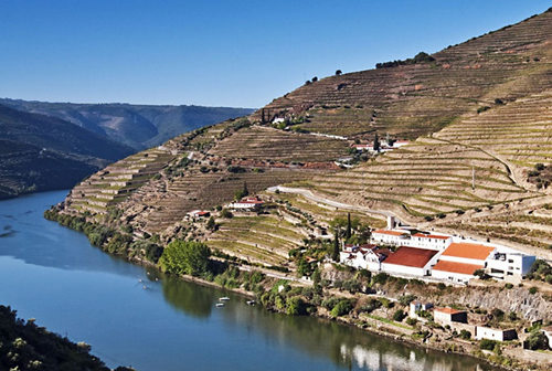 去葡萄牙杜罗河，这6个酒庄绝不能错过！