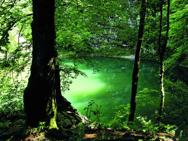 绿色国度斯洛文尼亚 将主办可持续性旅游业峰会