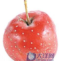 多吃新鲜山楂助消化(组图)