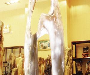 硅化木不具备五德 木石玉是树化石并非美玉