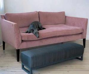 法国Ochre：向“精心雕琢”说不