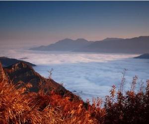 台湾游将于7月4日正式开放 首团全国600个名额