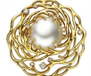 珠宝级珍珠只占10%  精品珍珠价格不菲