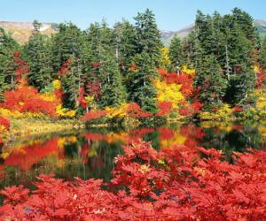 日本北海道美景（图）