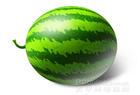 夏天多吃西瓜可减肥