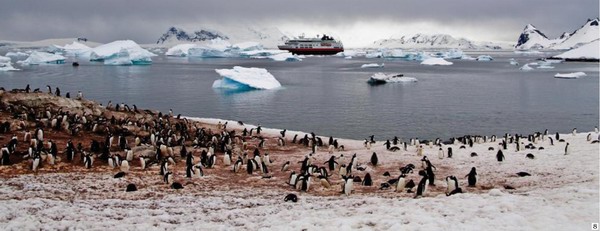商界精英南极之旅，与南极科考探险专家一起探索神秘南极