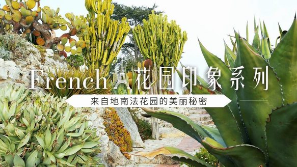 Lafuma French•花园印象系列，定格旅途花漾时光